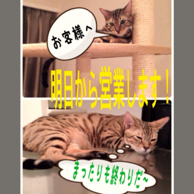 pic20140815144215_1.jpg