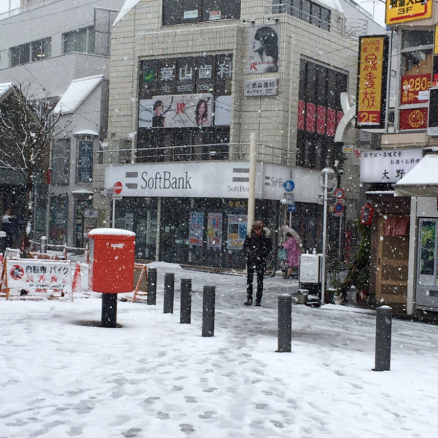 pic20150130110302_1.jpg